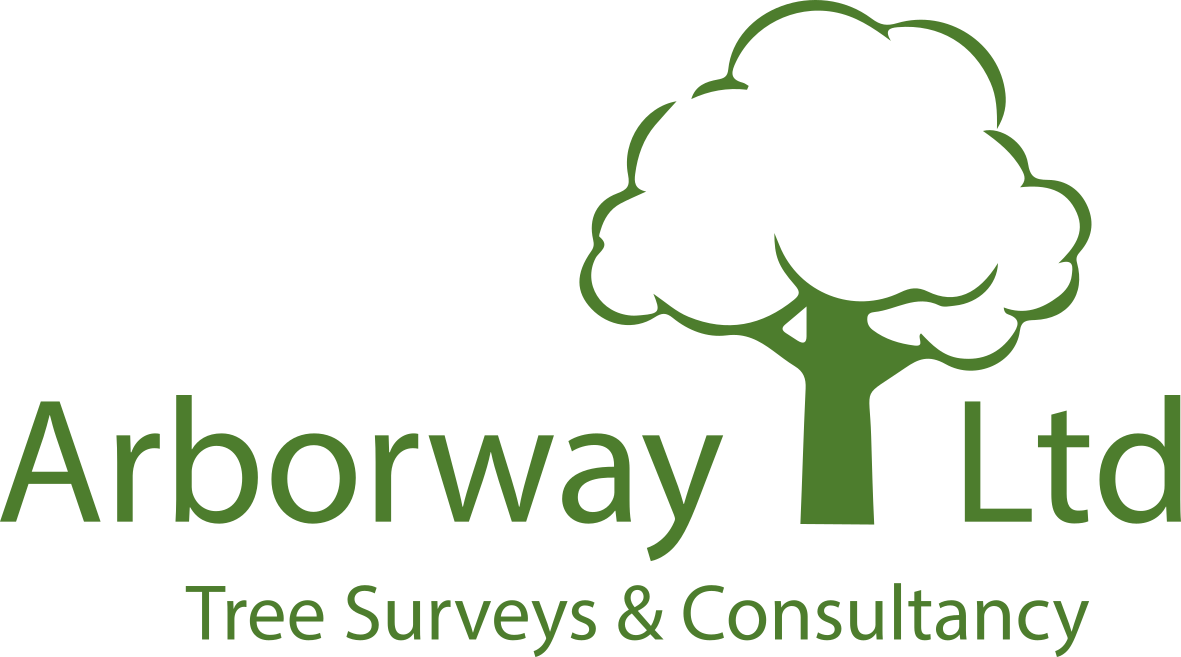 Arborway Ltd